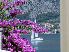 PRCANJ (12)